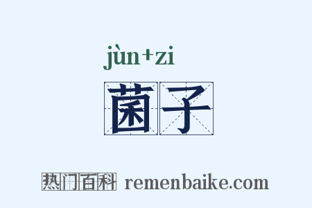菌子是什么意思的图片